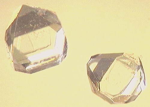 xylitol crystal
